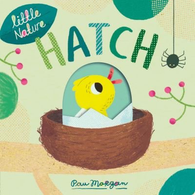 Cover for Isabel Otter · Hatch - Little Nature (Board book) (2021)