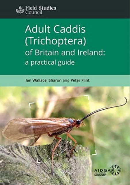 Cover for Ian Wallace · Adult Caddis (Trichoptera) of Britain and Ireland: a practical guide (Paperback Book) (2022)