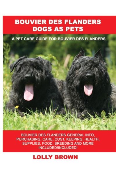 Cover for Lolly Brown · Bouvier des Flanders Dogs as Pets (Paperback Book) (2018)