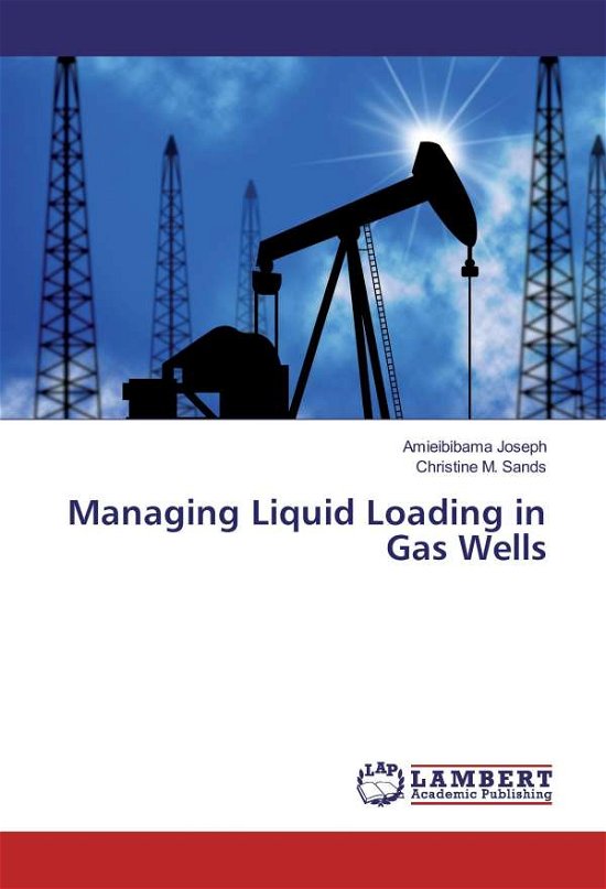 Cover for Joseph · Managing Liquid Loading in Gas W (Bog)