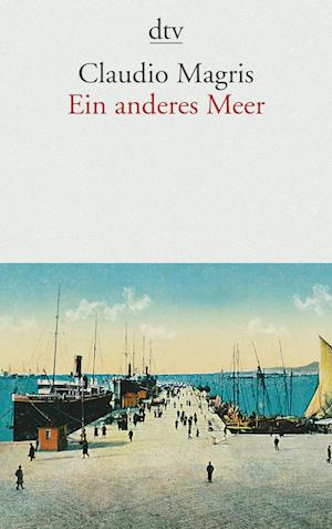 Dtv Tb.13875 Magris.anderes Meer - Claudio Magris - Bücher -  - 9783423138758 - 