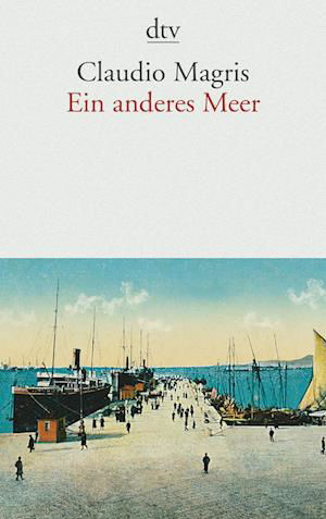 Cover for Claudio Magris · Dtv Tb.13875 Magris.anderes Meer (Book)