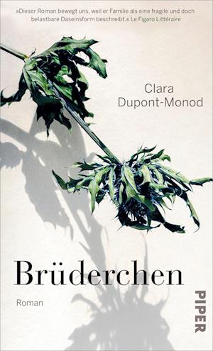 Cover for Clara Dupont-Monod · Brüderchen (Bog) (2023)