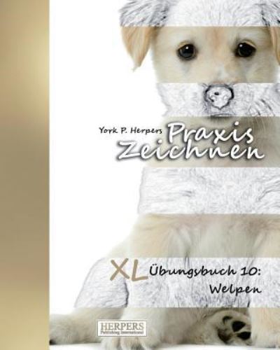 Cover for York P Herpers · Praxis Zeichnen - XL bungsbuch 10 (Paperback Book) (2015)