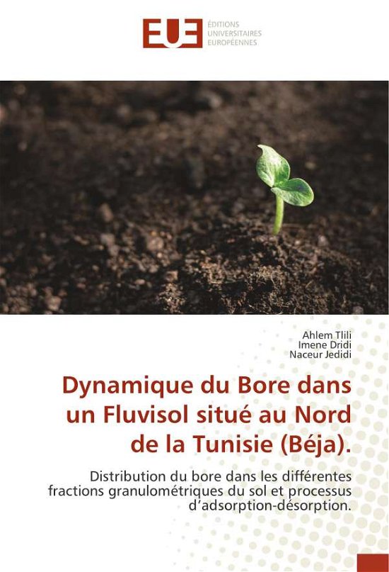 Cover for Tlili · Dynamique du Bore dans un Fluviso (Buch)