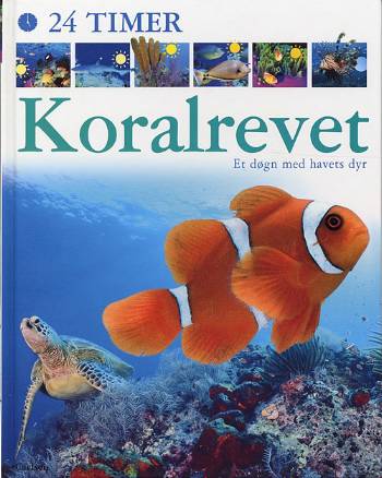 24 timer.: 24 timer Koralrevet - Caroline Bingham - Books - Carlsen - 9788756295758 - November 25, 2005