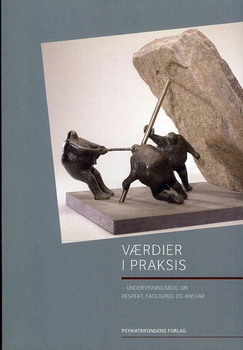 Cover for PsykiatriFonden · Værdier i praksis (Sewn Spine Book) [1. wydanie] (2011)