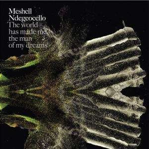 Cover for Meshell Ndegeocello · The World Has Made Me the (CD) (2007)
