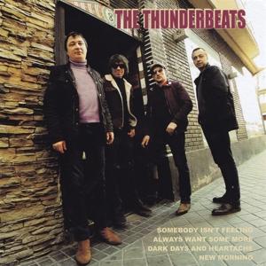 Cover for Thunderbeats · Somebody Isn't Feeling (7&quot;) (2022)