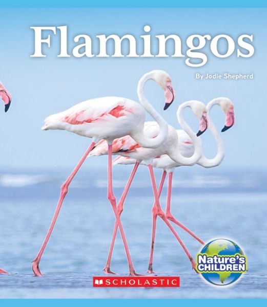 Cover for Jodie Shepherd · Flamingos (Inbunden Bok) (2019)