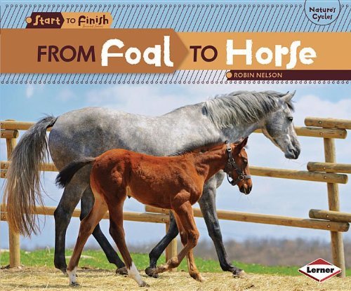 Cover for Robin Nelson · From Foal to Horse (Start to Finish, Second) (Paperback Book) (2012)