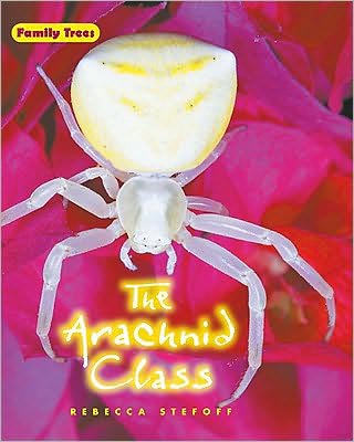 Cover for Rebecca Stefoff · The Arachnid Class (Hardcover Book) (2009)