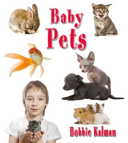 Cover for Bobbie Kalman · Baby Pets (It's Fun to Learn About Baby Animals) (Hardcover Book) (2012)