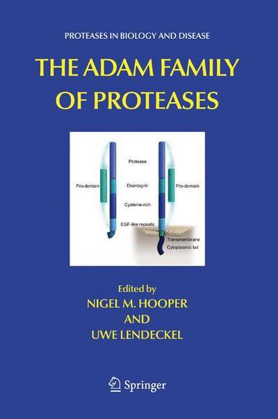 Cover for Nigel M Hooper · The ADAM Family of Proteases - Proteases in Biology and Disease (Paperback Book) [Softcover reprint of hardcover 1st ed. 2005 edition] (2011)