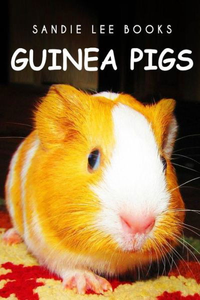 Cover for Curious Kids Press · Guinea Pigs - Sandie Lee Books (Paperback Book) (2014)
