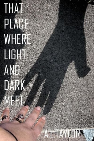 Cover for Mr a L Taylor · That Place Where Light and Dark Meet (Paperback Book) (2014)
