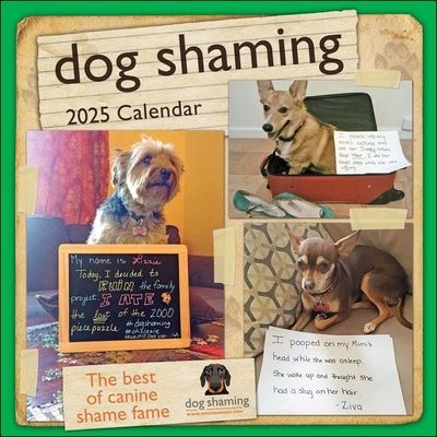 Dog Shaming 2025 Wall Calendar - Pascale Lemire - Merchandise - Andrews McMeel Publishing - 9781524890759 - August 13, 2024