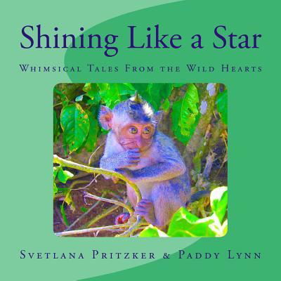 Cover for Paddy Lynn · Shining Like a Star (Paperback Book) (2016)