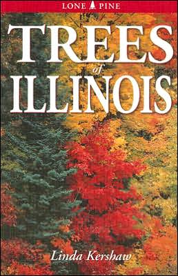 Trees of Illinois: Including Tall Shrubs - Clem Hamilton - Bøger - Lone Pine Publishing,Canada - 9781551054759 - 1. juli 2007