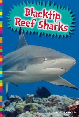 Cover for Allan Morey · Blacktip reef sharks (Book) (2016)