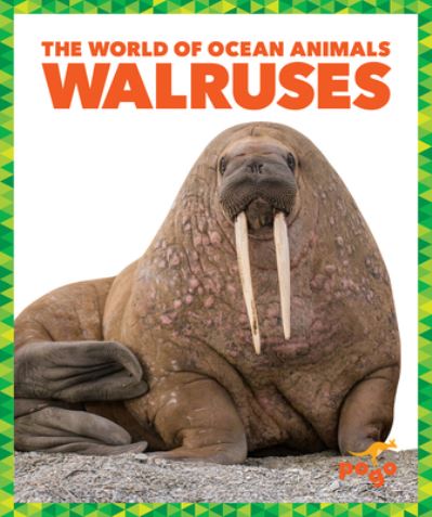 Cover for Mari C Schuh · Walruses (Hardcover Book) (2021)