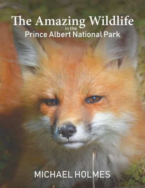 Cover for Michael Holmes · The Amazing Wildlife in the Prince Albert National Park (Taschenbuch) (2018)