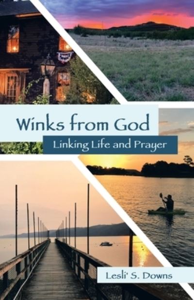 Cover for Lesli' S Downs · Winks from God (Paperback Book) (2021)