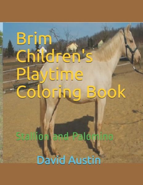 Cover for Jane Austin · Brim Children's Playtime Coloring Book Stallion and Palomino (Book) (2019)