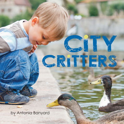 Cover for Antonia Banyard · City Critters (Board book) (2018)