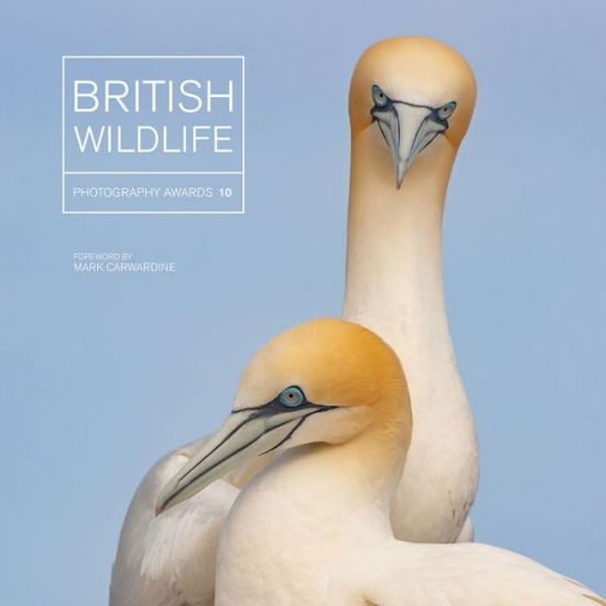 Cover for Maggie Gowan · British Wildlife Photography Awards 10 (Gebundenes Buch) (2019)