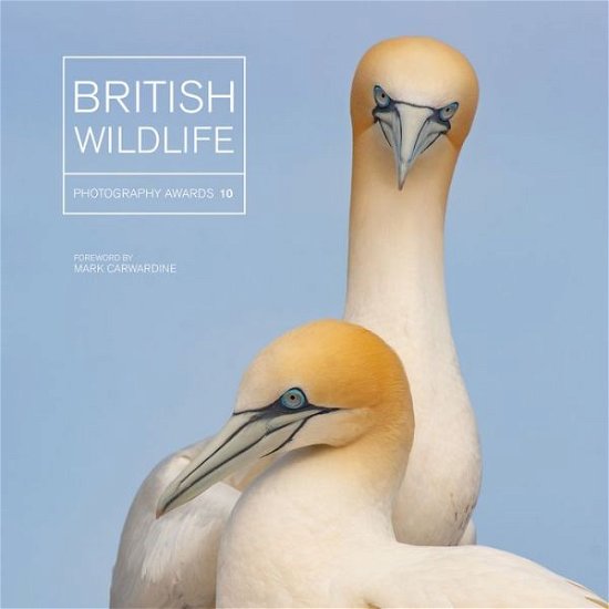 Cover for Maggie Gowan · British Wildlife Photography Awards 10 (Hardcover Book) (2019)