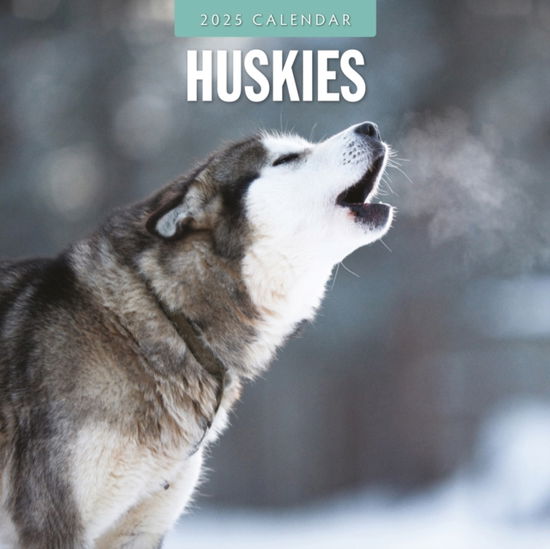 Huskies 2025 Square Wall Calendar - Red Robin - Kirjat - Red Robin Publishing Ltd. - 9781804424759 - perjantai 6. syyskuuta 2024