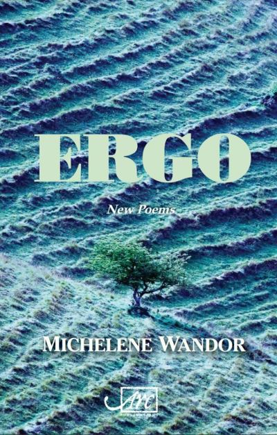 Cover for Michelene Wandor · Ergo (Paperback Book) (2024)