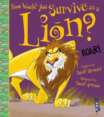 Cover for David Stewart · How Would You Survive As A Lion? - How Would You Survive As A...? (Paperback Book) [Illustrated edition] (2020)
