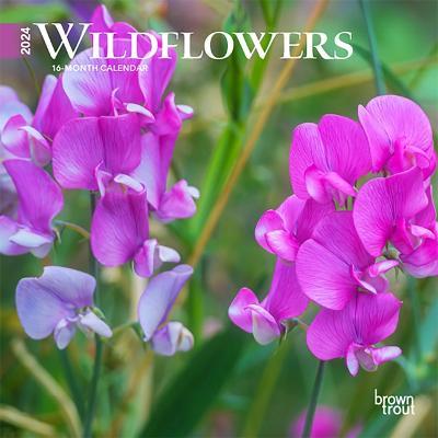 Cover for Browntrout · Wildflowers 2024 Mini 7x7 (Calendar) (2023)