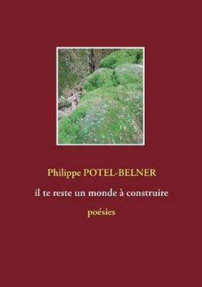 Cover for Potel-Belner · Il Te Reste Un Monde À Con (Book) (2018)