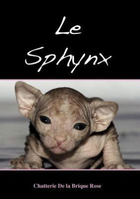 Cover for Jean-claude Dufour · Le Sphynx (Paperback Book) [French edition] (2009)