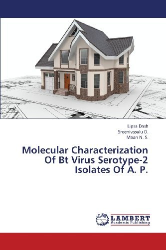 Cover for Maan N. S. · Molecular Characterization of Bt Virus Serotype-2 Isolates of A. P. (Paperback Book) (2013)