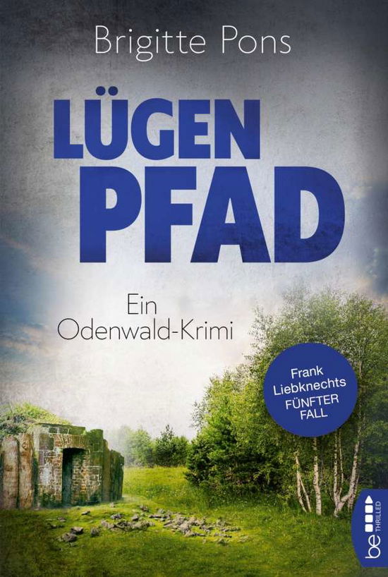 Cover for Pons · Lügenpfad (Book)