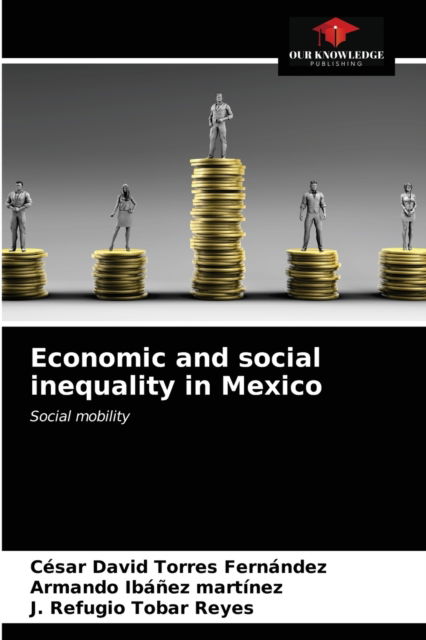 Cover for César David Torres Fernández · Economic and social inequality in Mexico (Paperback Book) (2021)