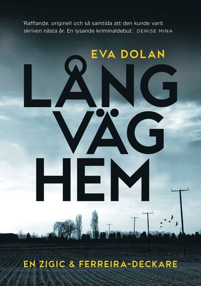 Cover for Eva Dolan · Zigic och Ferreira: Lång väg hem (Bound Book) (2014)