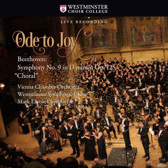 Cover for Beethoven / Vienna Chamber Orchestra · Ode to Joy / Beethoven Symphony No 9 in (CD) (2016)