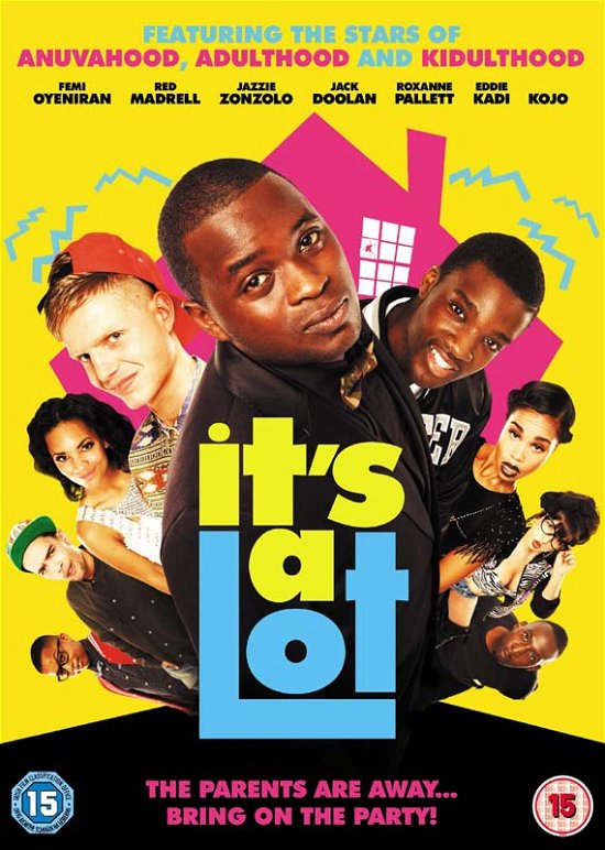 Cover for Its A Lot (DVD) (2014)
