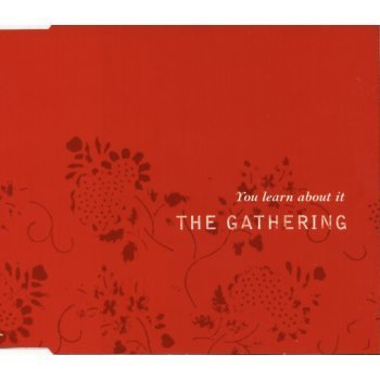 You Learn About It - Gathering - Muziek - PSYCHO RECORDS - 8716059999760 - 1 mei 2003
