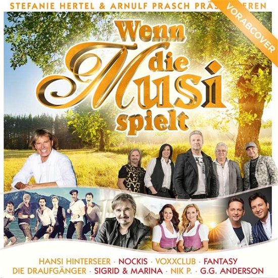 Cover for Various - Wenn Die Musi Spielt (CD) (2021)