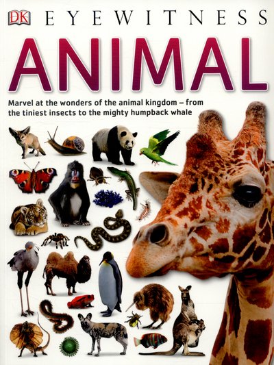 Cover for Dk · Animal - DK Eyewitness (Paperback Bog) (2015)