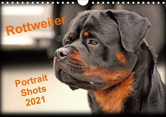 Rottweiler Portait Shots 2021 (W - Images - Książki -  - 9781325550760 - 