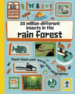 Cover for Paul Rockett · 30 Million Different Insects in the Rainforest (Hardcover Book) (2015)