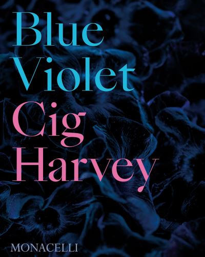 Cover for Cig Harvey · Blue Violet (Hardcover Book) (2021)