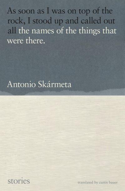 Cover for Antonio Skarmeta · The Names of the Things That Were There: Stories (Paperback Book) (2023)